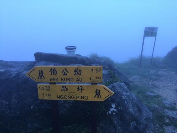 逗小猴开心系列176